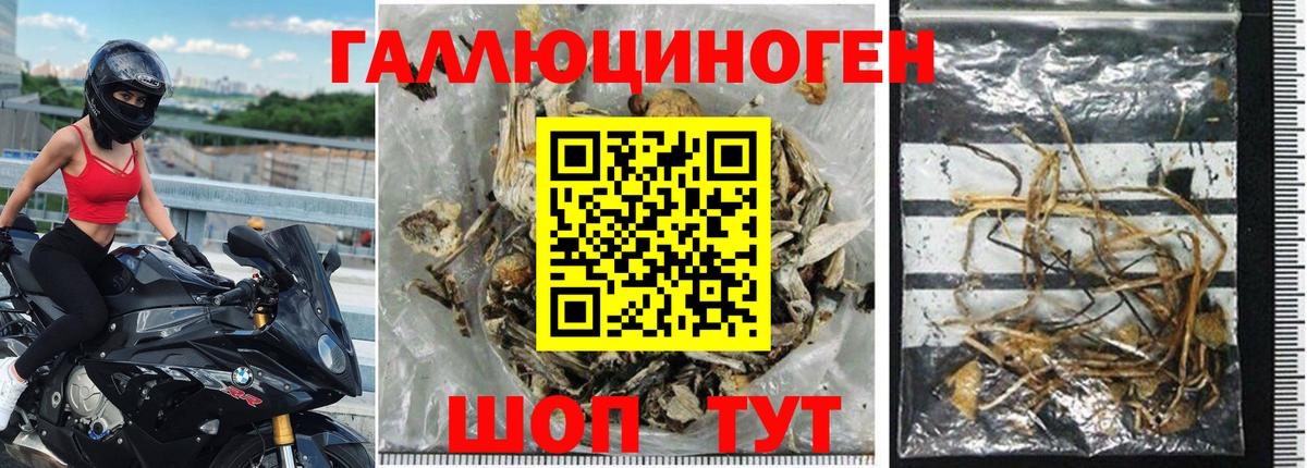 Псилоцибиновые грибы прущие грибы Чапаевск