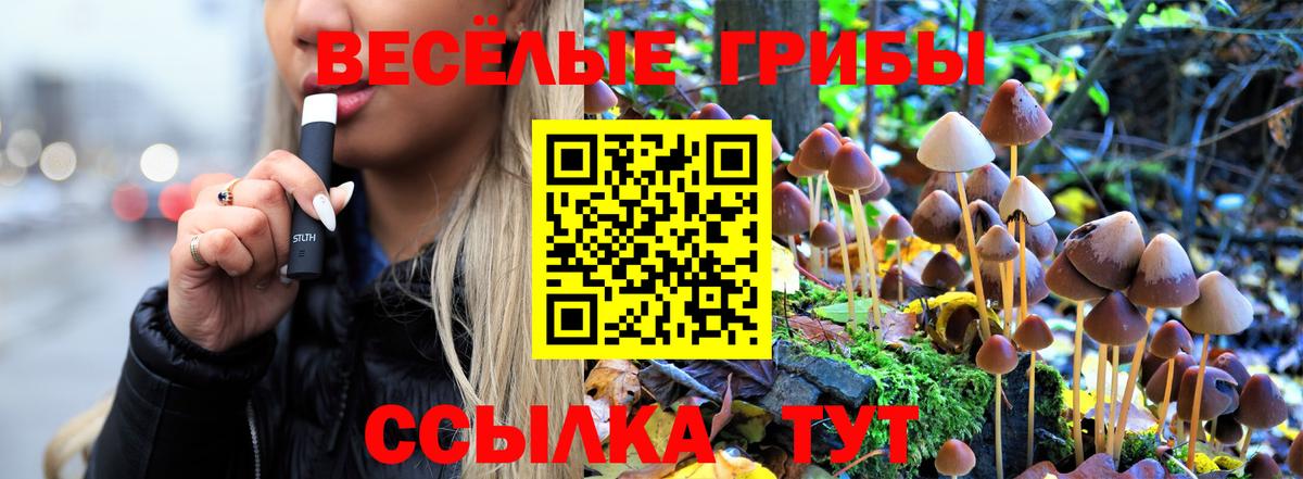 Галлюциногенные грибы Psilocybine cubensis  Галлюциногенные грибы мухоморы  Чапаевск  Вход с VPN 